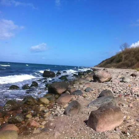 Lovely In Near Baltic Sea *