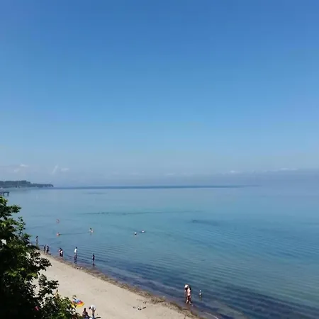 Lovely In Near Baltic Sea