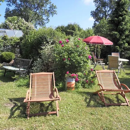 Lovely In Near Baltic Sea