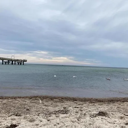 Lovely In Near Baltic Sea 레리크