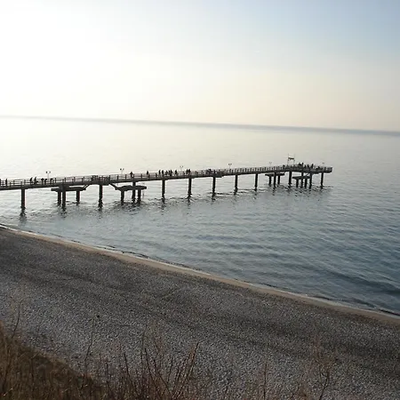 Lovely In Near Baltic Sea