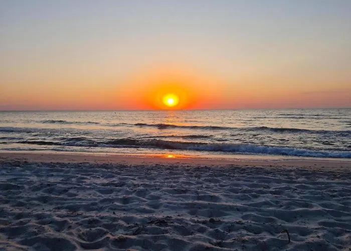 아파트 Lovely In Near Baltic Sea 레리크