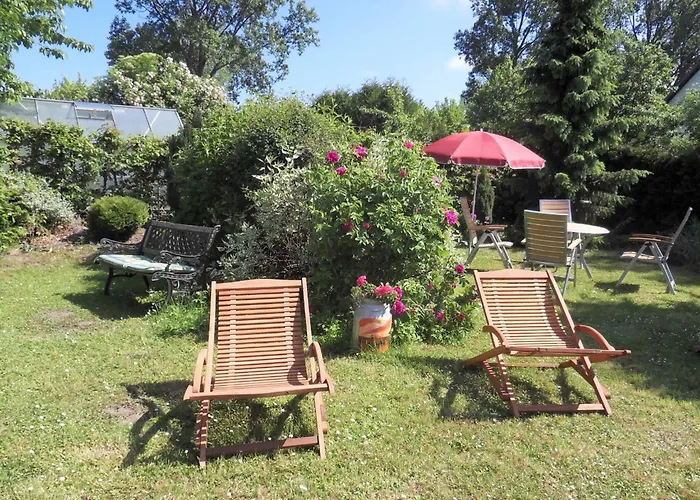 Lovely In Near Baltic Sea