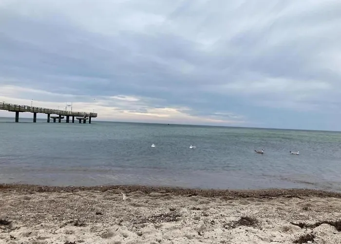 Lovely In Near Baltic Sea Rerik