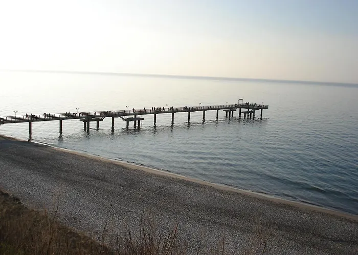 Lovely In Near Baltic Sea