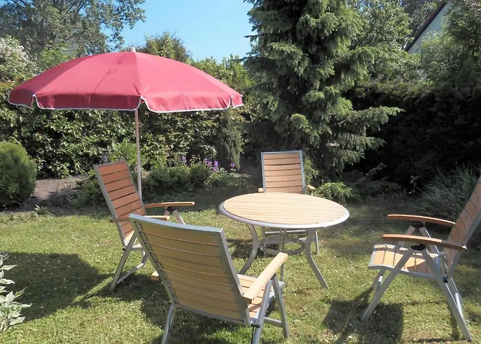 Lovely In Near Baltic Sea *